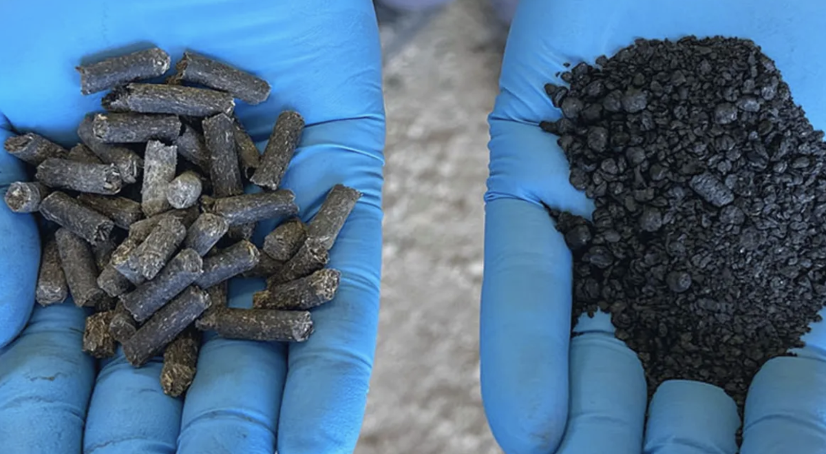 Naukowcy wykorzystali starożytną technologię z Amazonii do zamiany śmieci w “energetyczne złoto”
