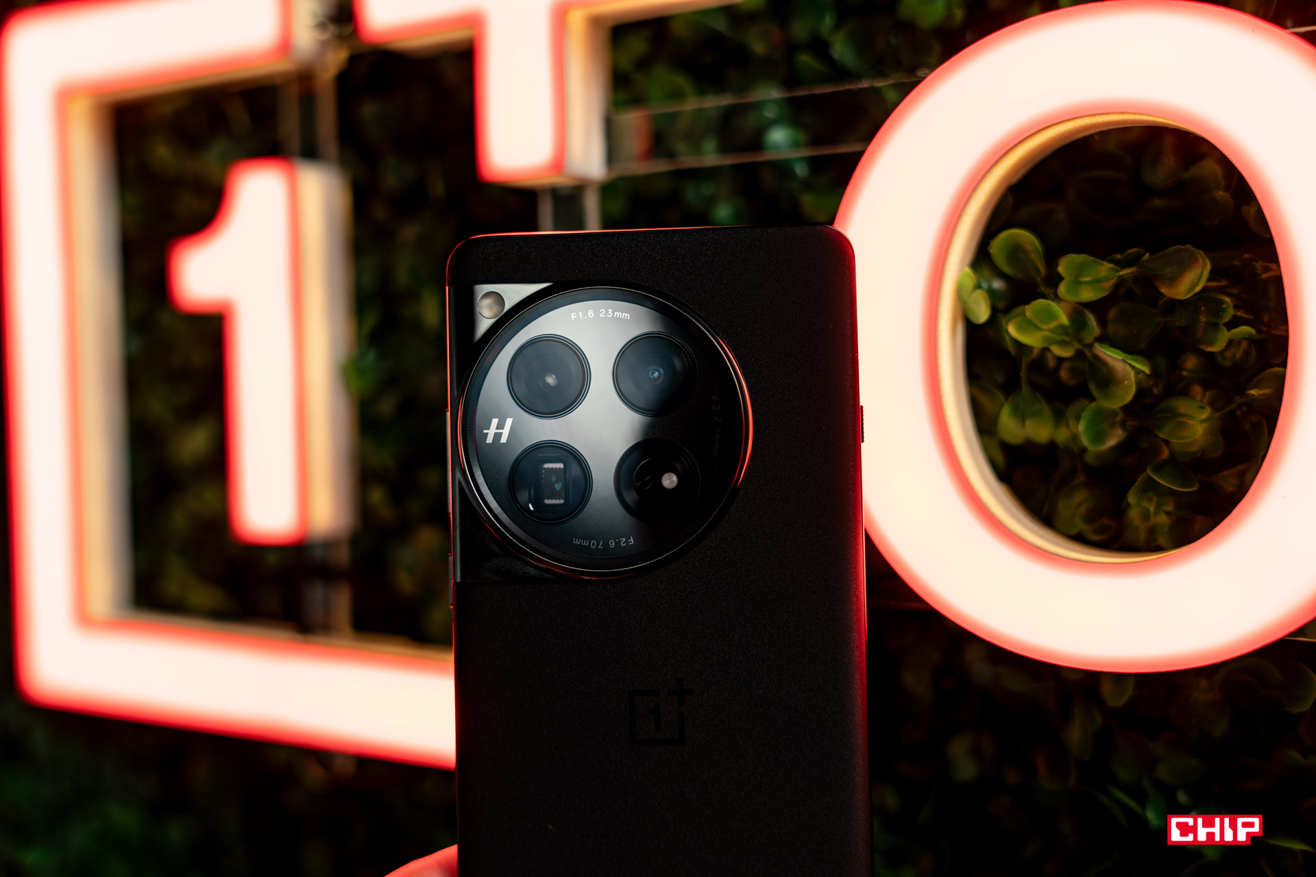 OnePlus 12 debuts in Poland, and I have already taken photos with it.  A good evolution at a very good price