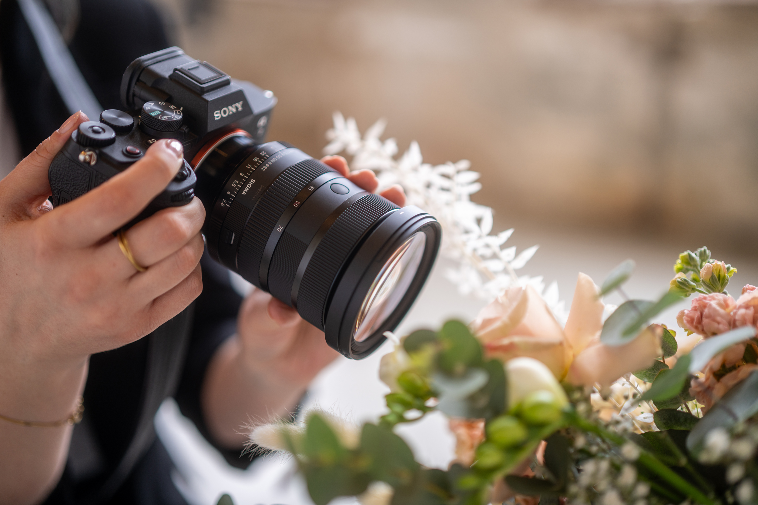 Sigma 24-70 mm f/2.8 DG DN II