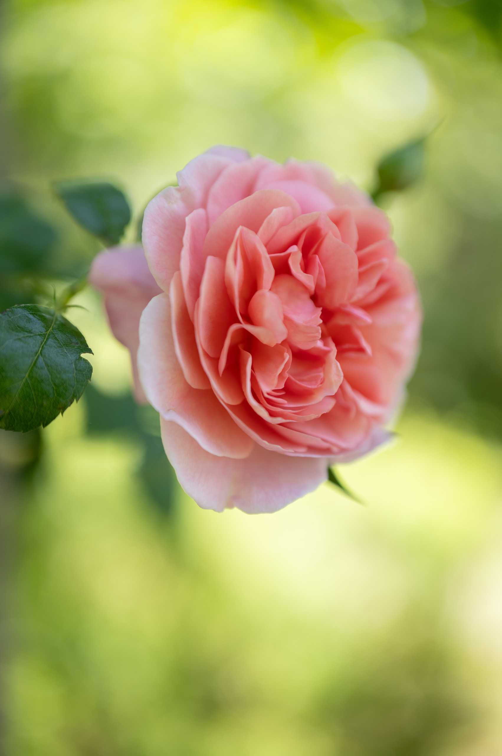 Sigma 28-45mm f/1.8 DG DN Art