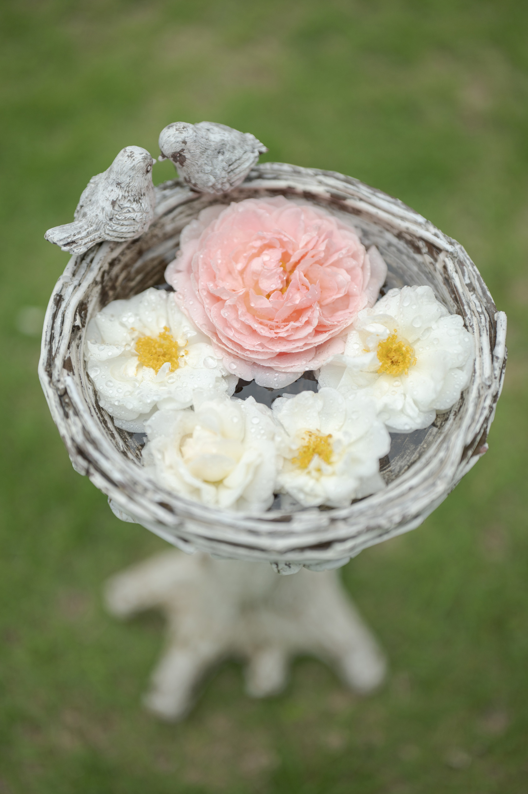 Sigma 28-45mm f/1.8 DG DN Art