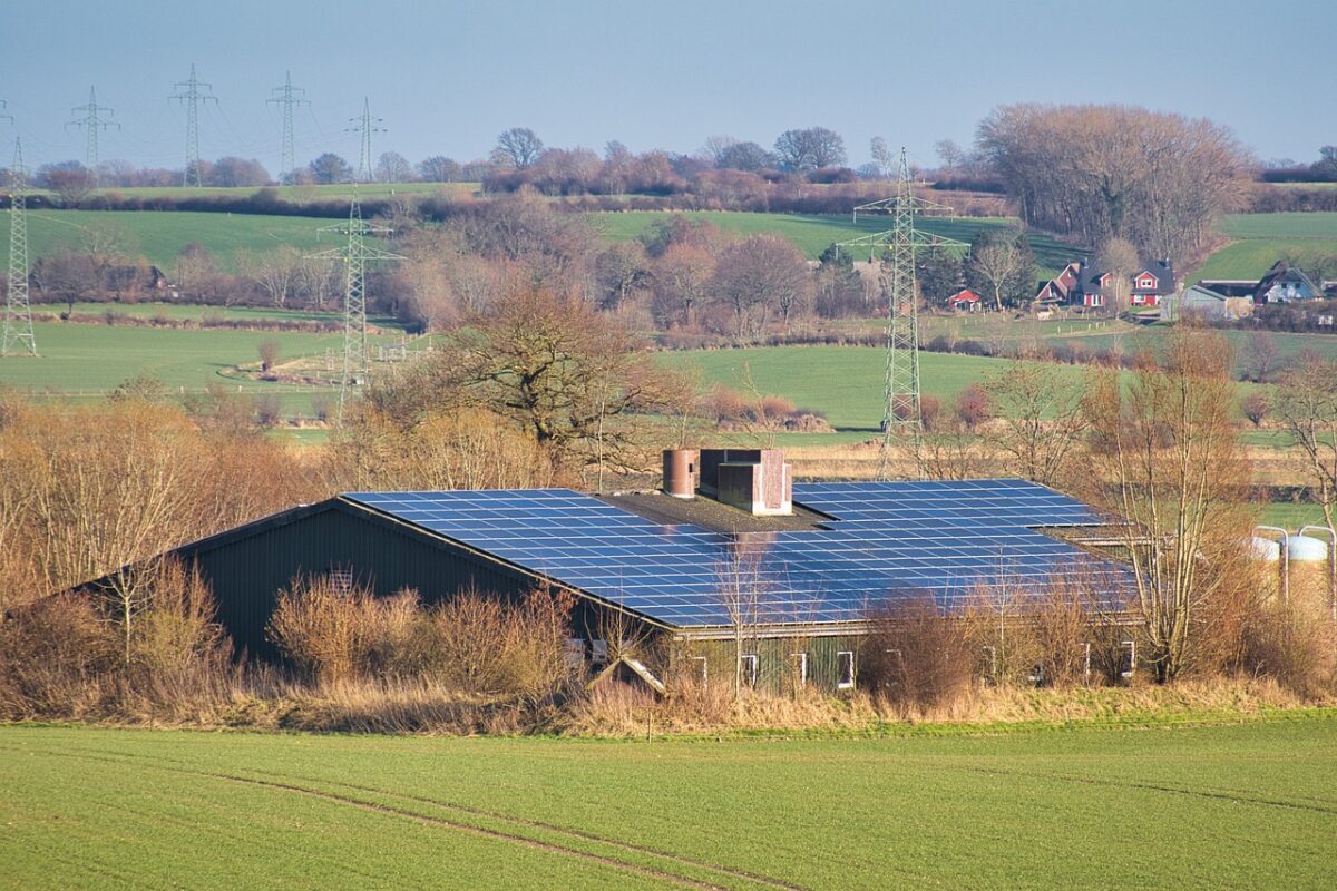 Jak sobie radzą Polacy z fotowoltaiką w nowej rzeczywistości? Cena energii wciąż spada