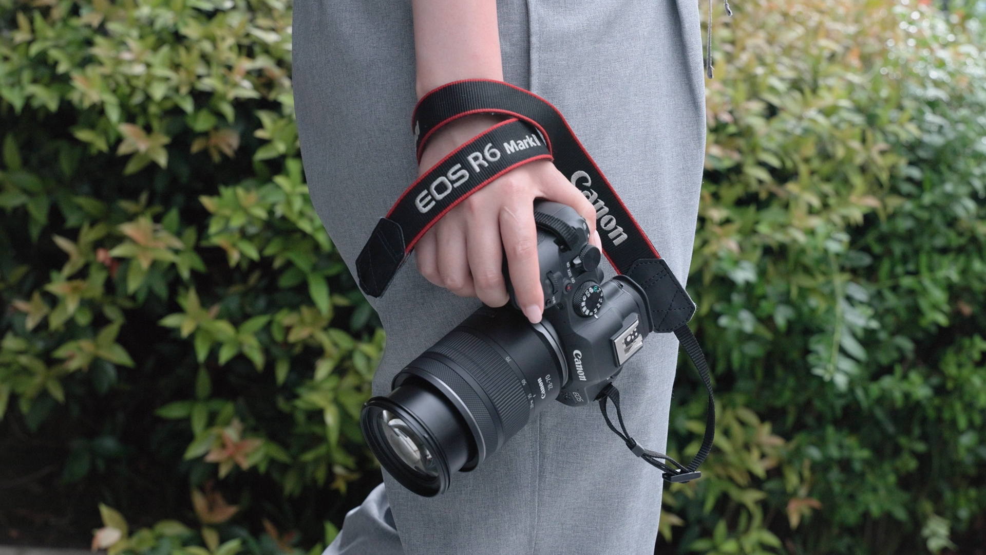 Canon RF 28-70 mm f/2.8 IS STM – w końcu jasny standardowy
