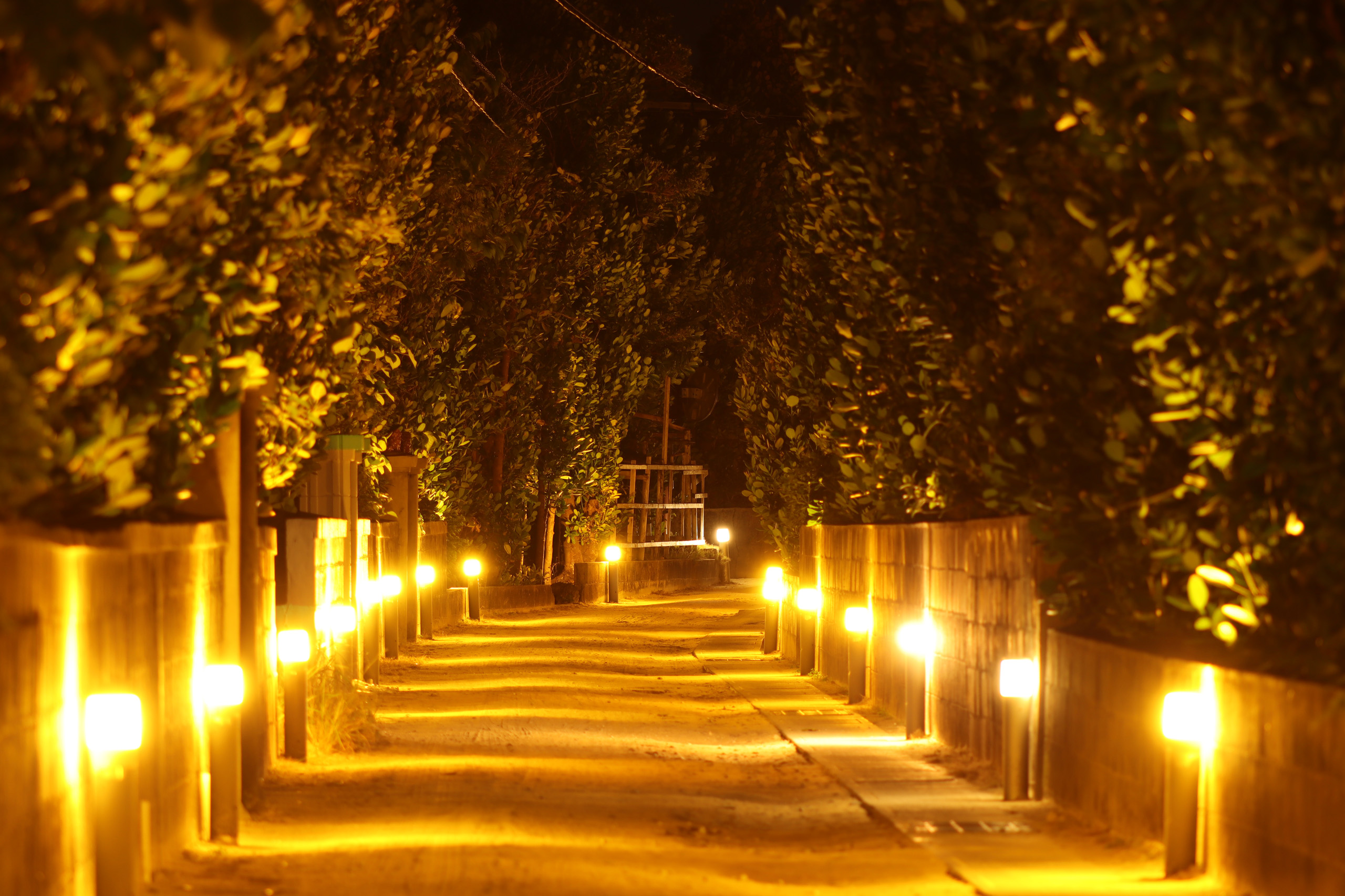 Canon RF 75-300mm f/4-5.6