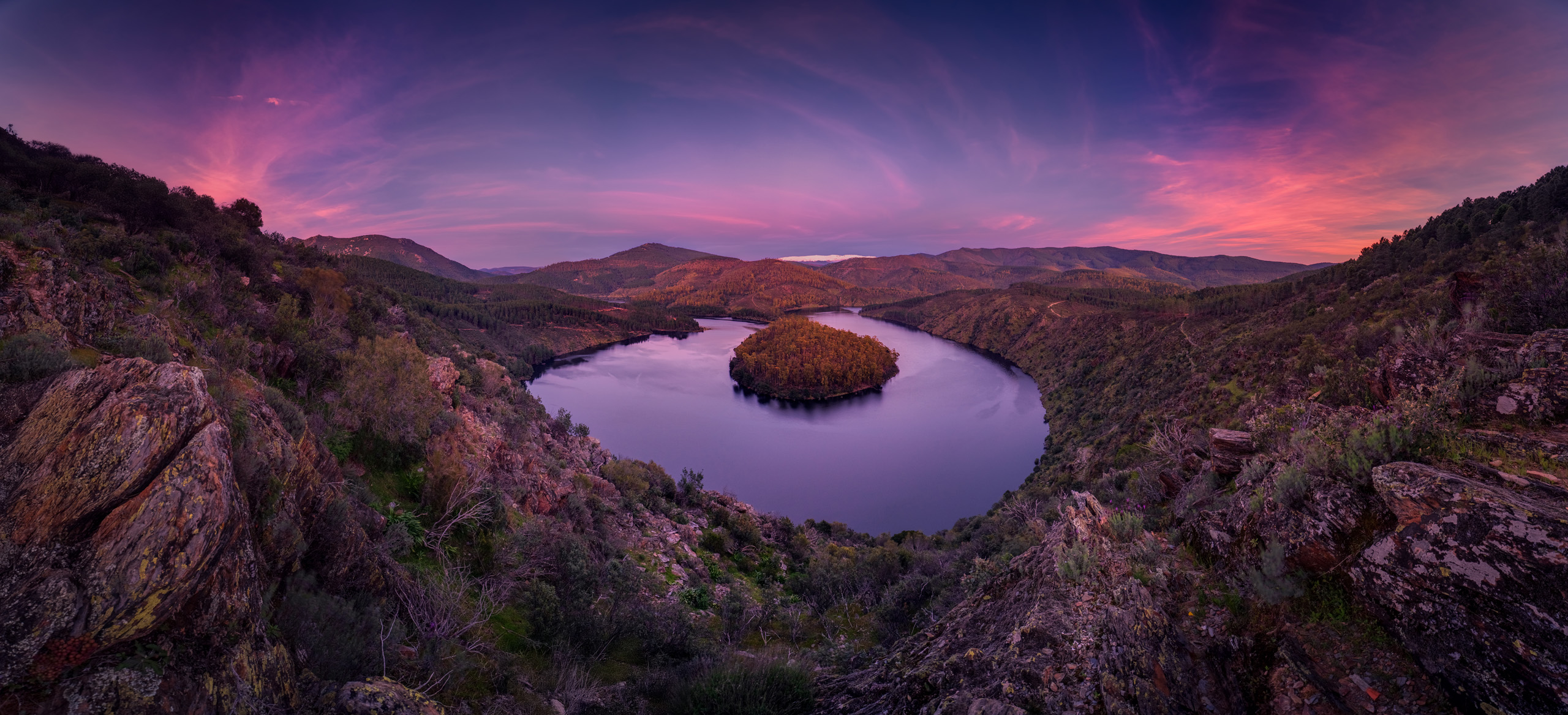 Samyang AF 14-24mm F/2.8