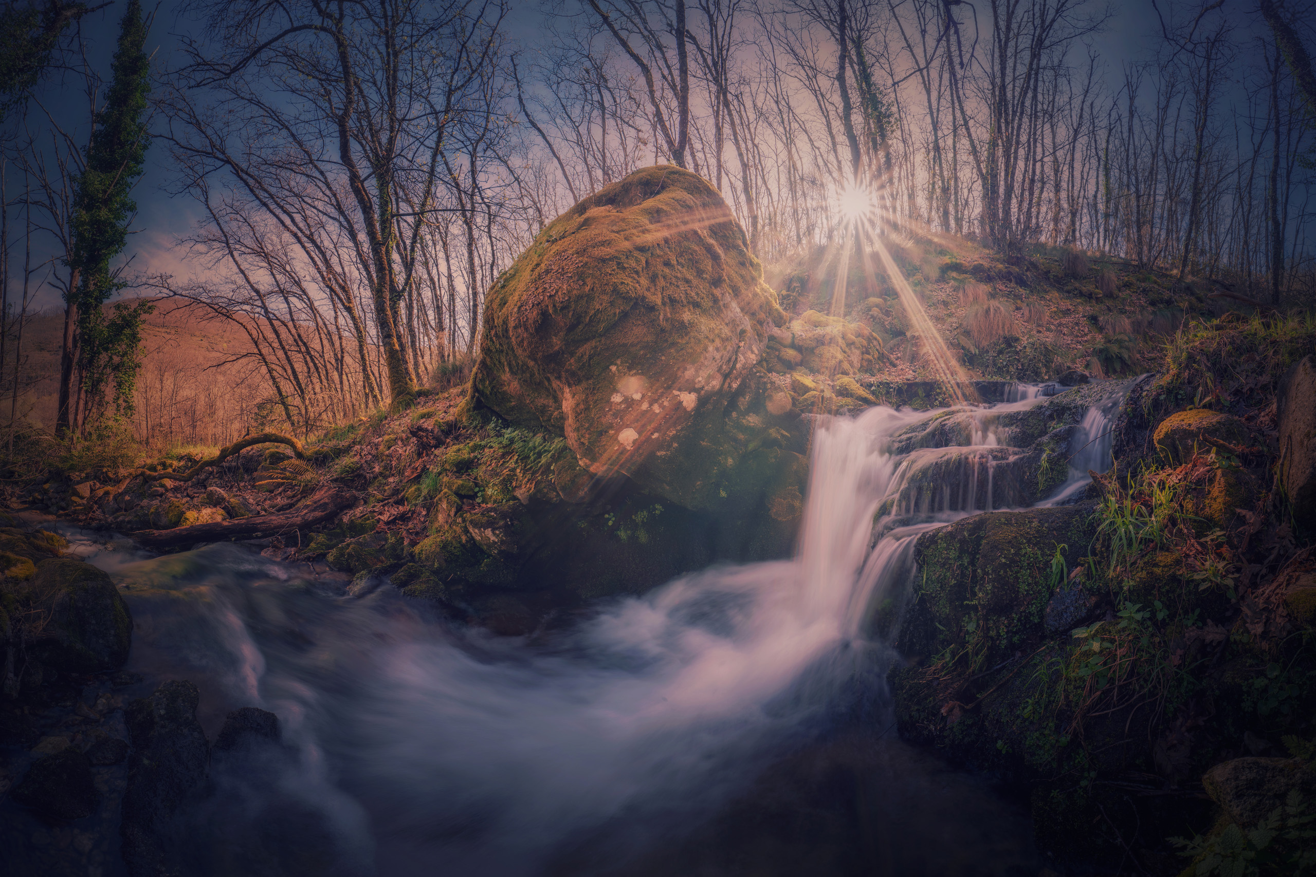 Samyang AF 14-24mm F/2.8