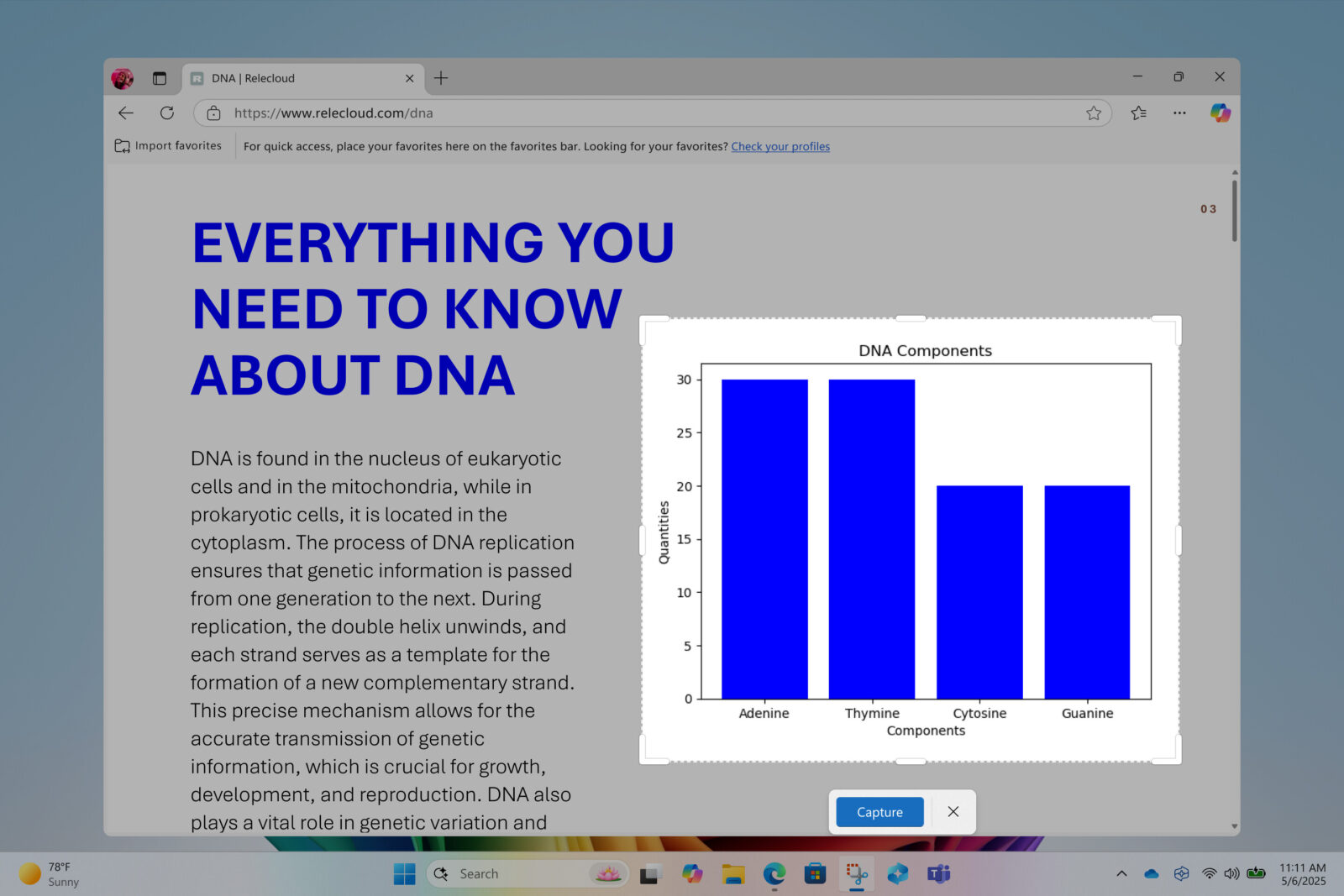 Windows 11 Wycinek i Szkic