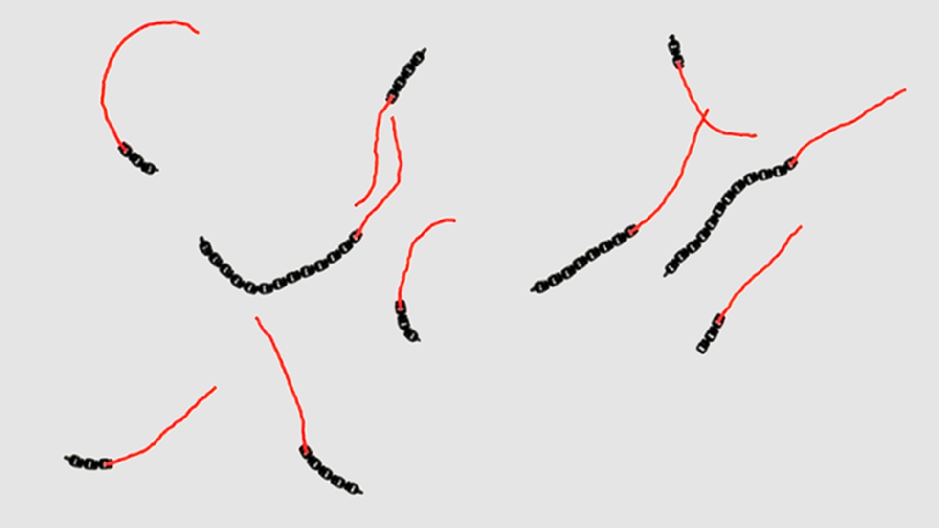 Mikroroboty cieńsze od włosa. Poruszają się same i to bez żadnej elektroniki