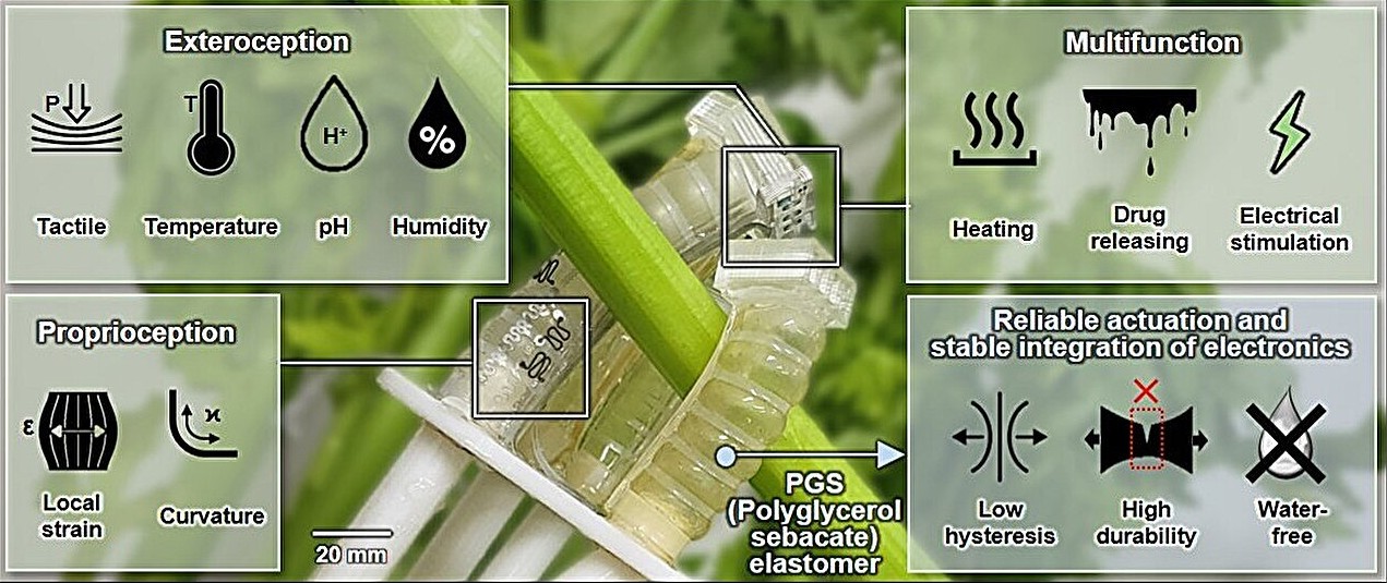 Robot, który po pracy staje się nawozem dla kwiatów. To może być prawdziwy przełom