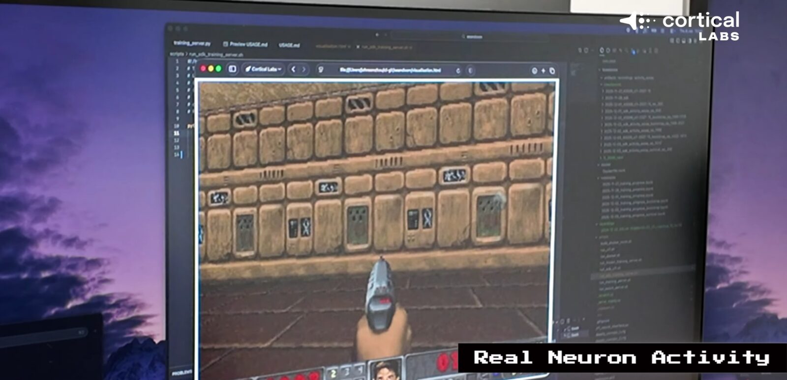 Doom na lodówce to przeżytek. Teraz to ludzkie komórki mózgowe postrzelały do demonów