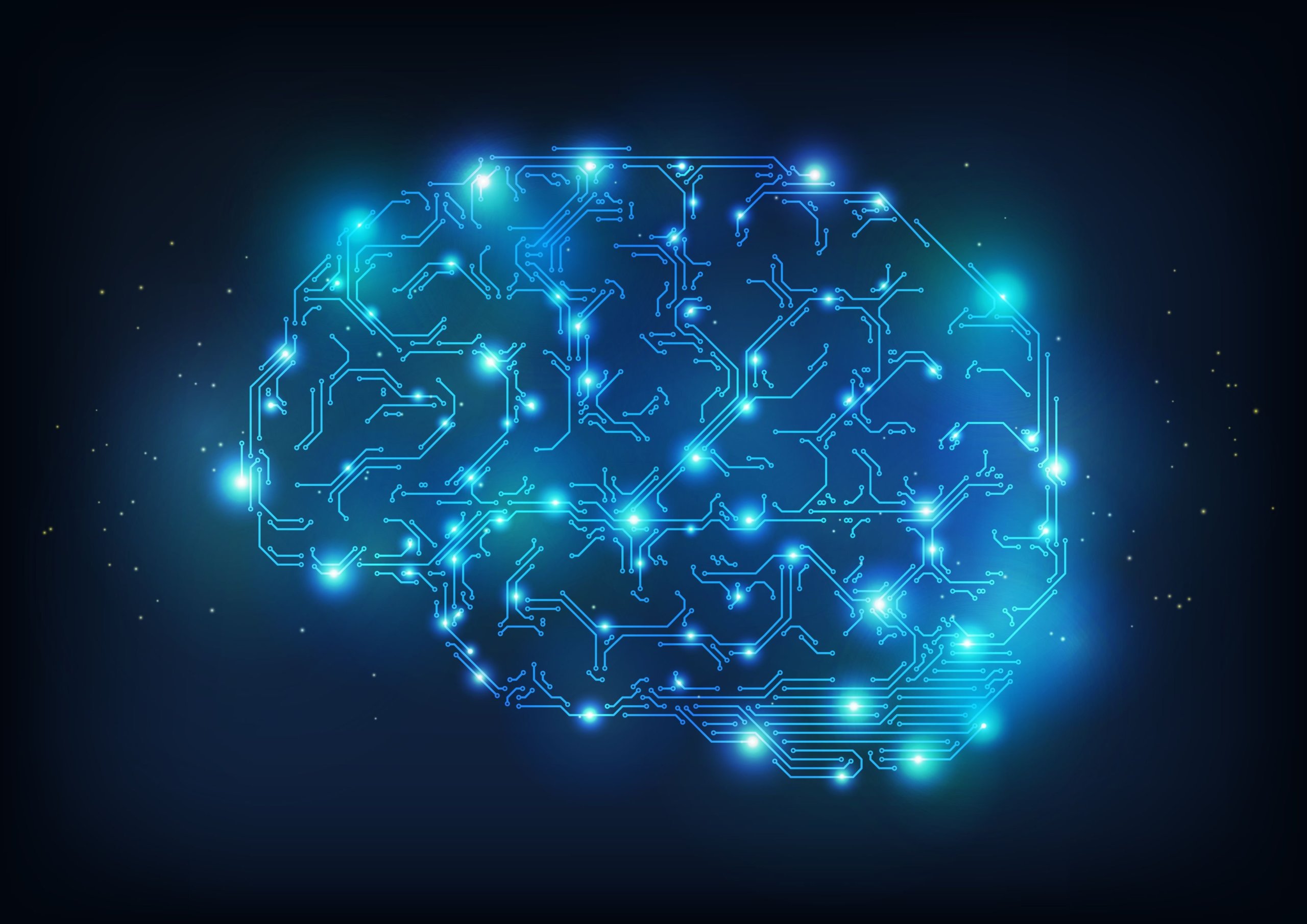 Czy mózg jest tylko filtrem? Prowokacyjna hipoteza słynnego neurobiologa