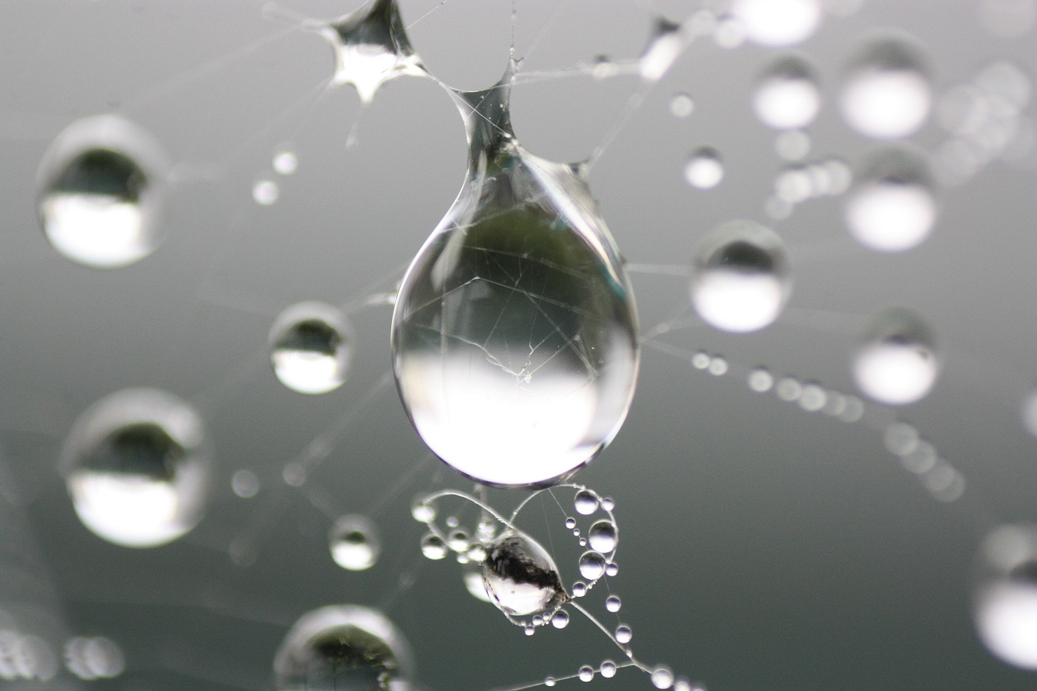 Kropelki oleju płyną pod prąd. Odkryto nowe zjawisko w fizyce płynów