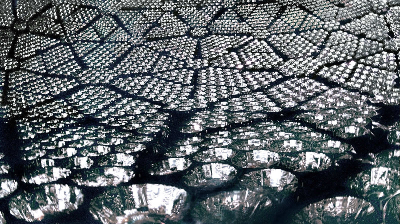 Neutrina słoneczne zmieniają węgiel w azot. Po raz pierwszy zmierzono tę reakcję bezpośrednio