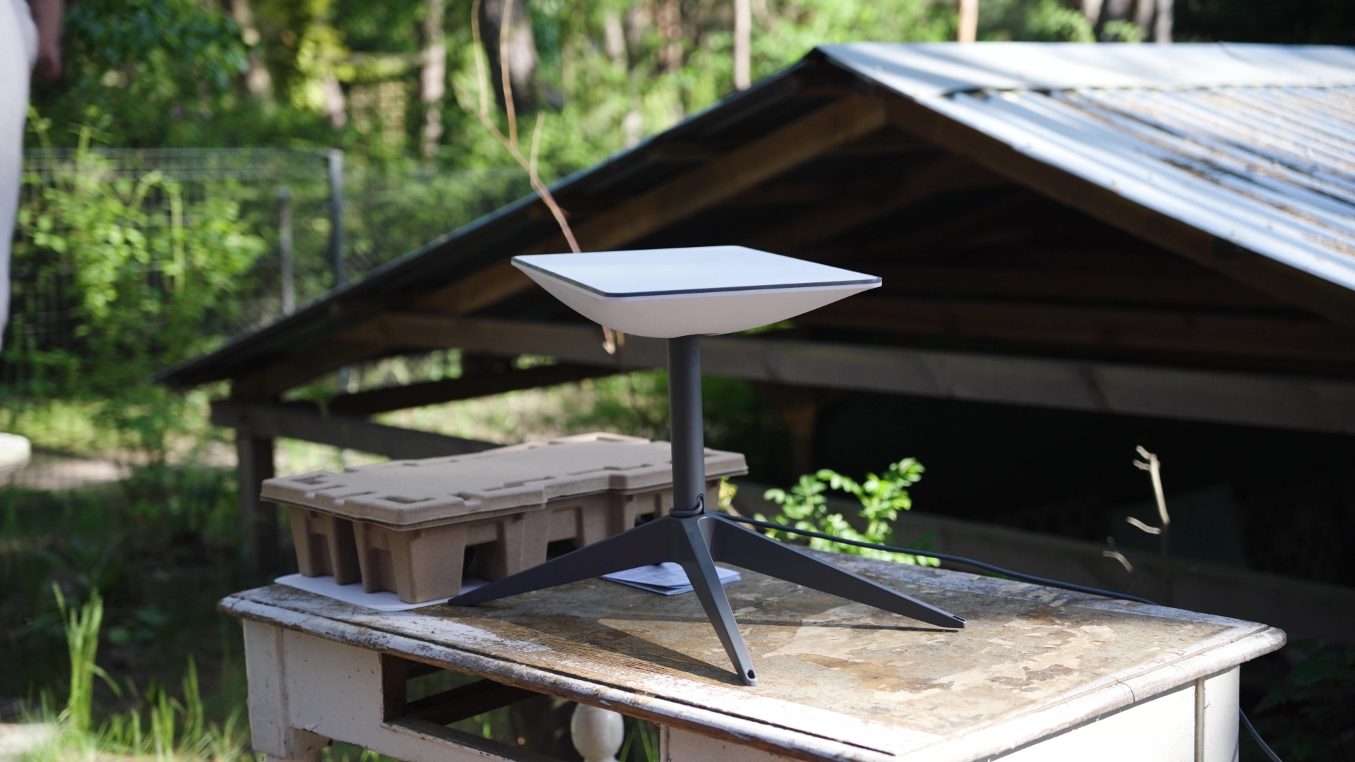 Starlink taniej w Polsce. Nowe plany i obniżki cen w 2026 roku