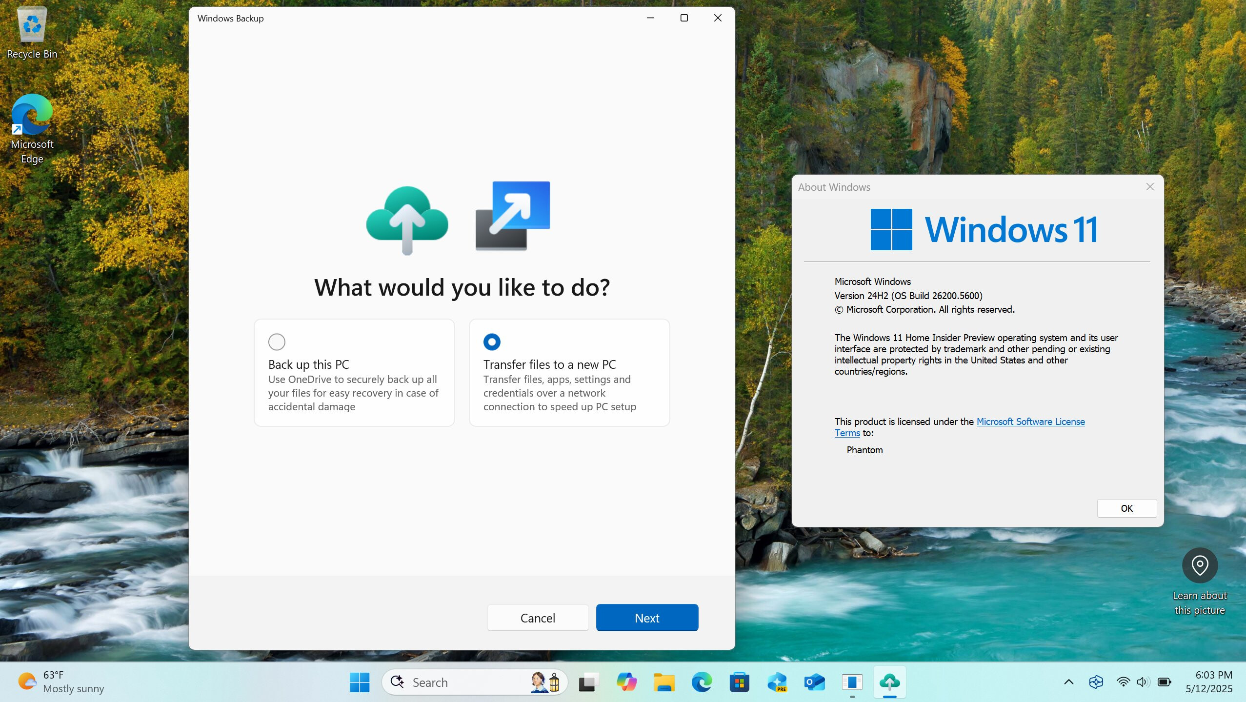 Windows 11 transfer
