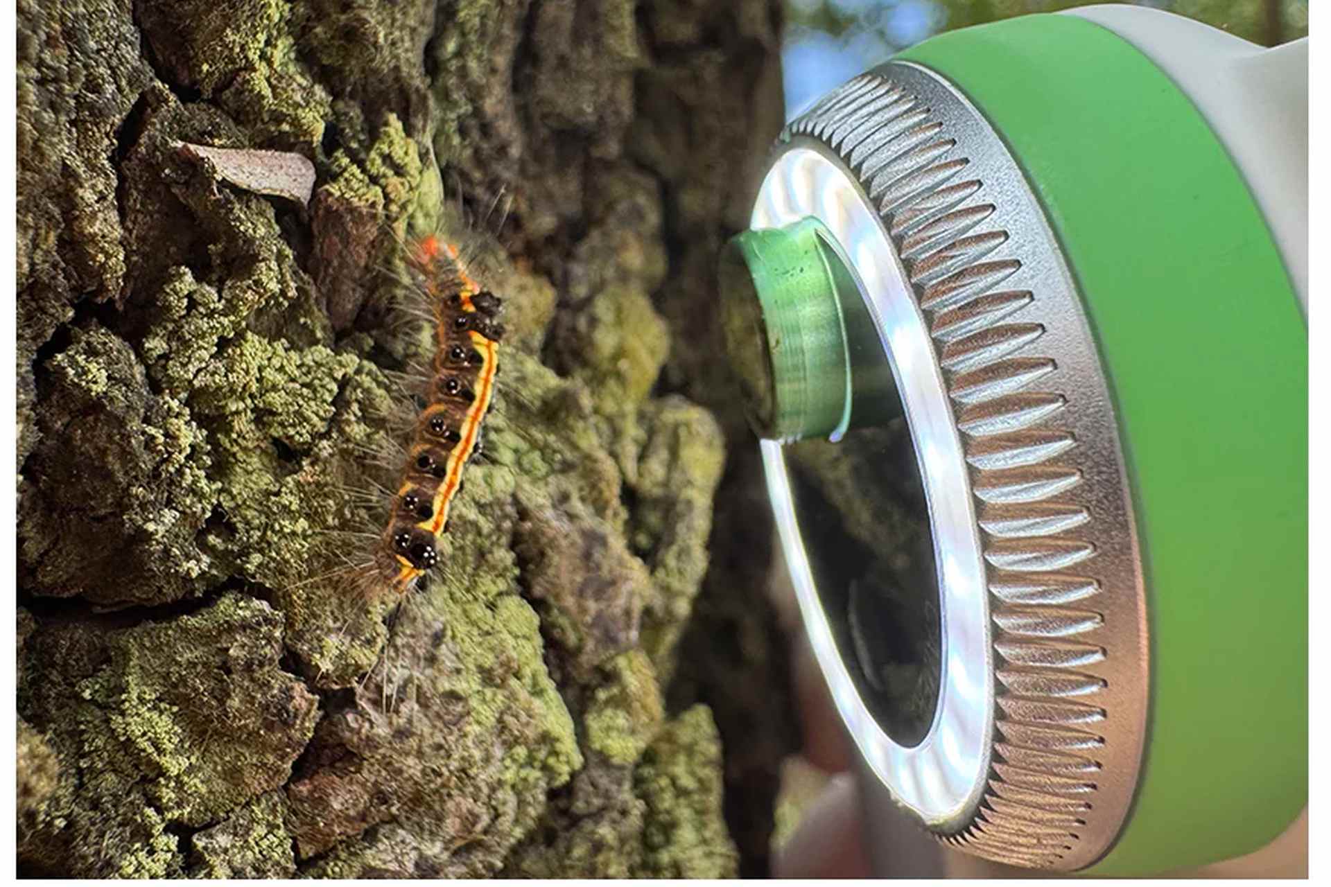 Mikroskop za 300 złotych? MicroCam X1 podbija Kickstartera