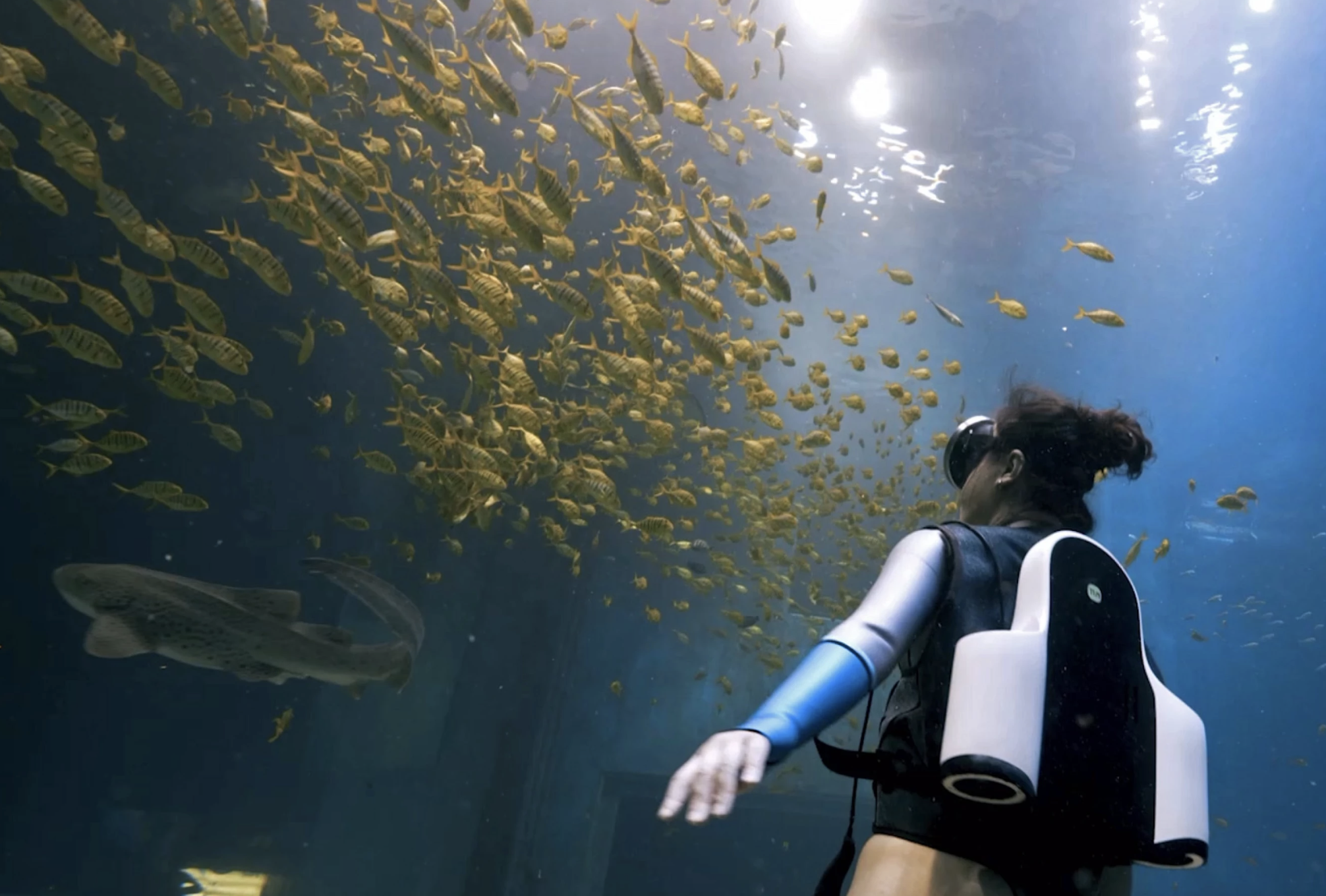 Nurkowanie z turbodoładowaniem. Ten odrzutowy plecak kupisz już za 5000 zł