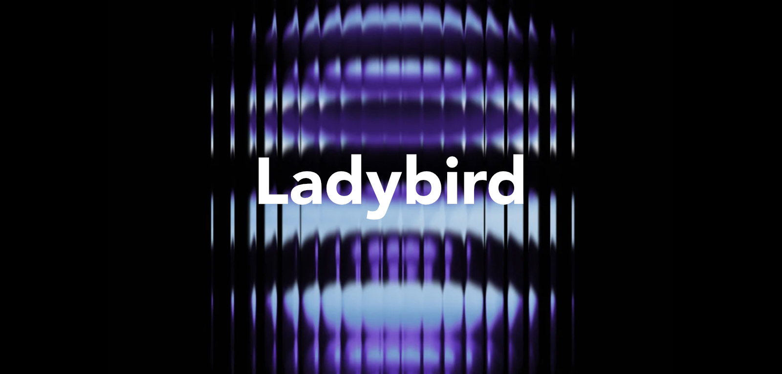 Ladybird. Przeglądarka internetowa, której nikt nie chciał, a której wszyscy potrzebujemy