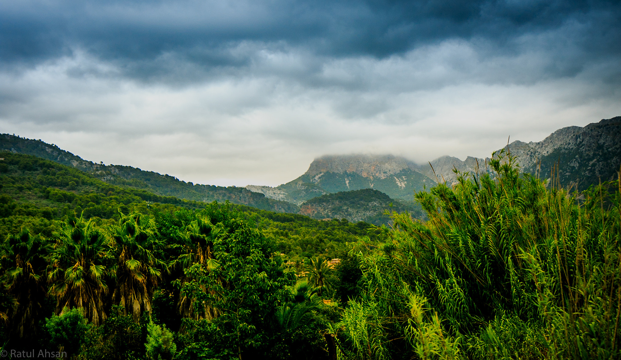 Ziemski ewenement widać choćby z kosmosu. To dzieje się w lasach całego świata