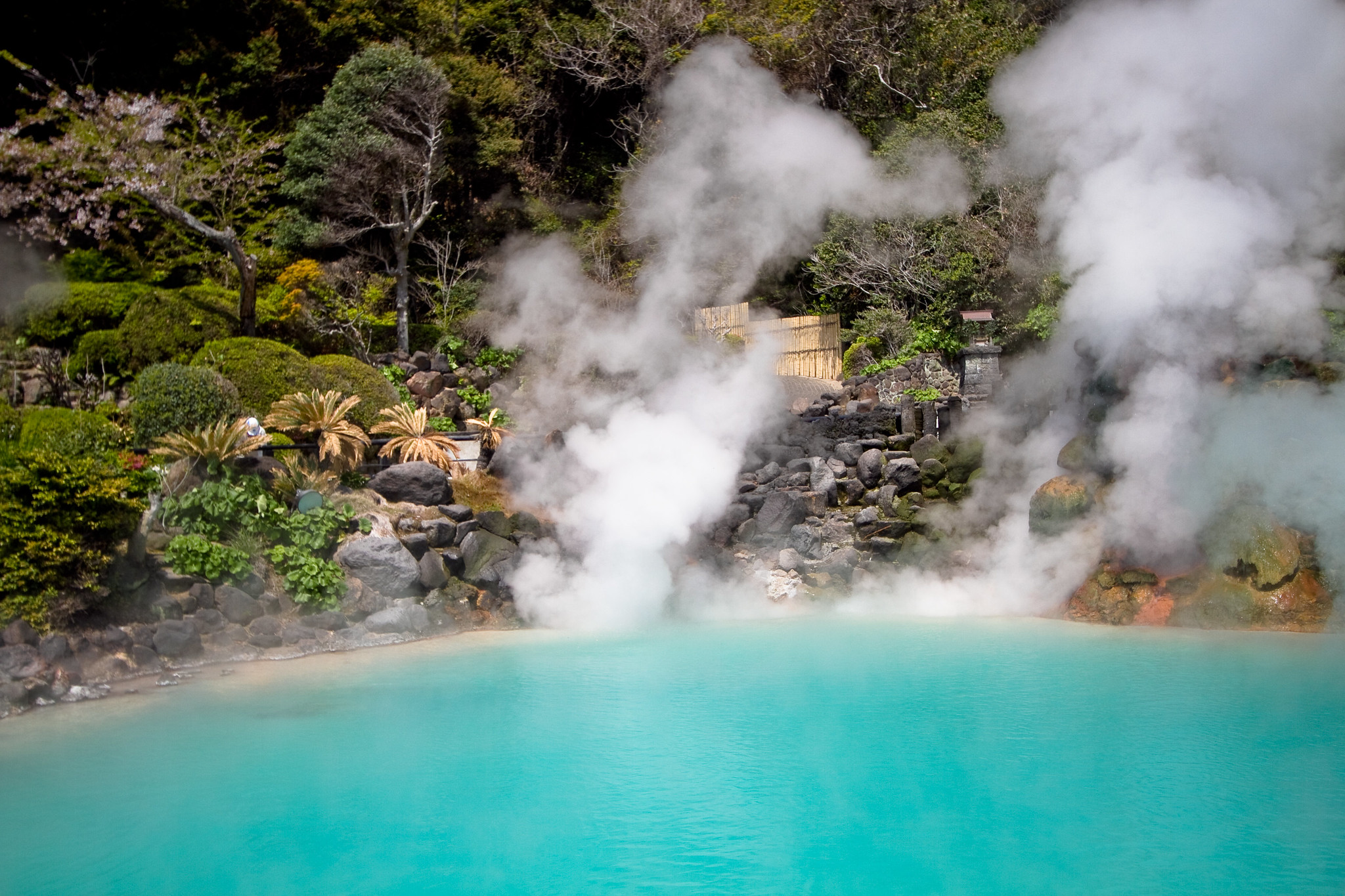 Forma życia, która wyginęła 2,3 mld lat temu, wciąż istnieje. Wielka tajemnica japońskich gorących źródeł
