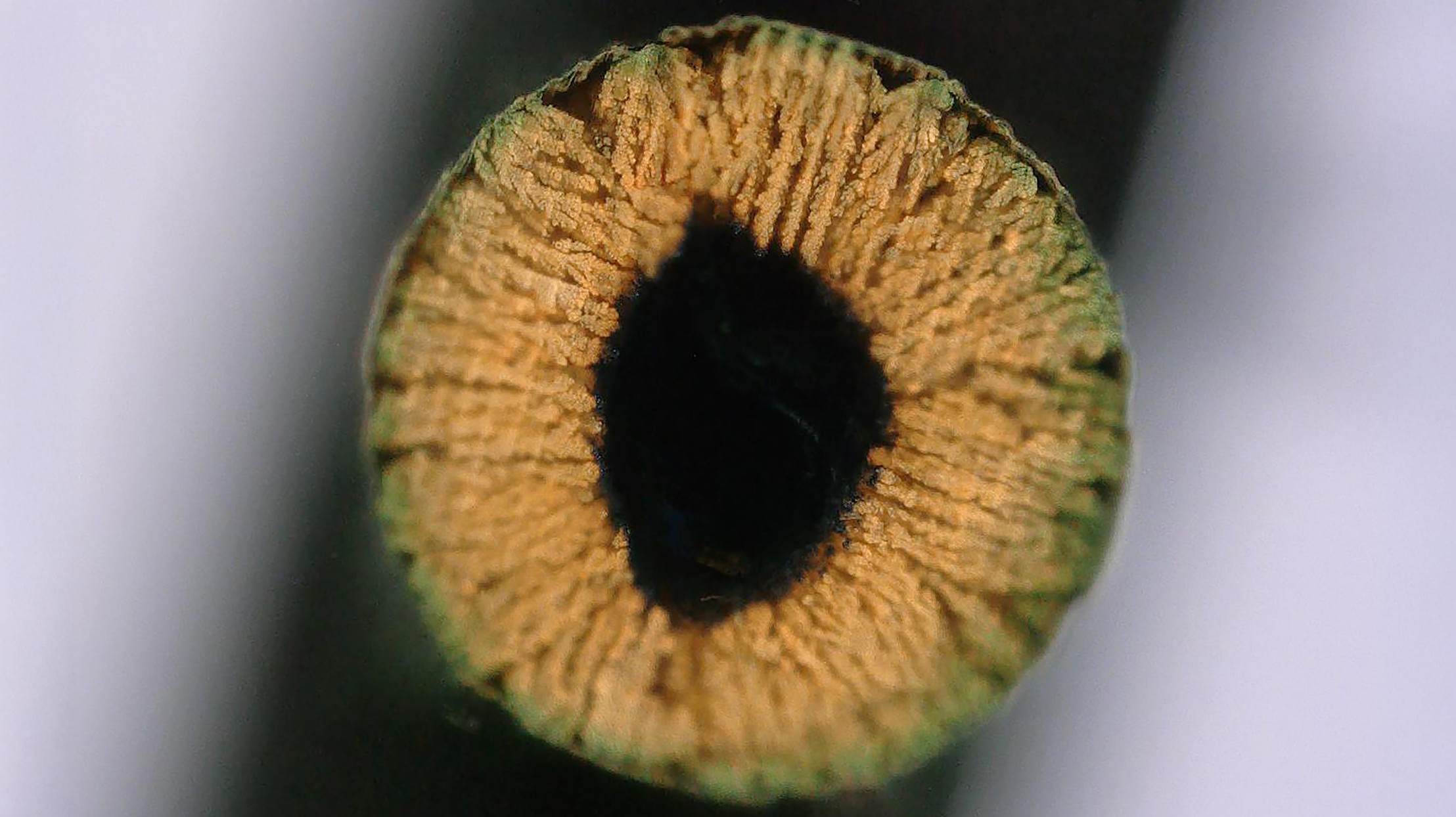 Defekty, które czynią cuda. Grafen staje się dzięki nim materiałem nie z tej Ziemi