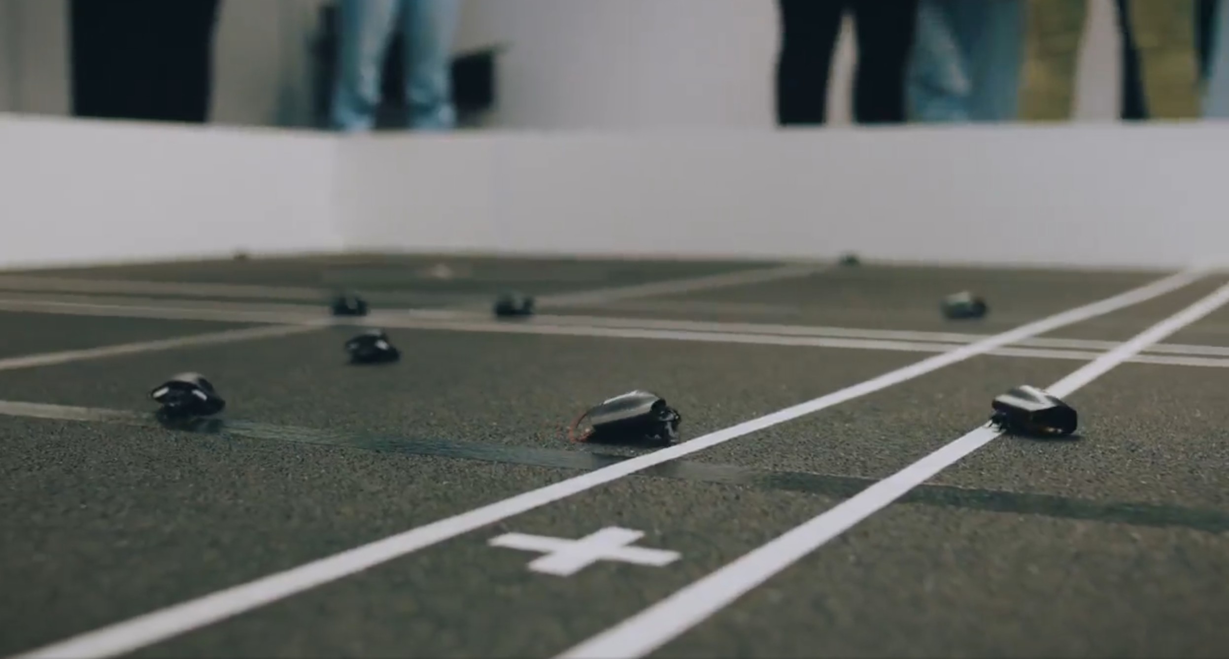 Karaluchy-cyborgi na służbie NATO. Insekty z plecakami AI wchodzą do akcji