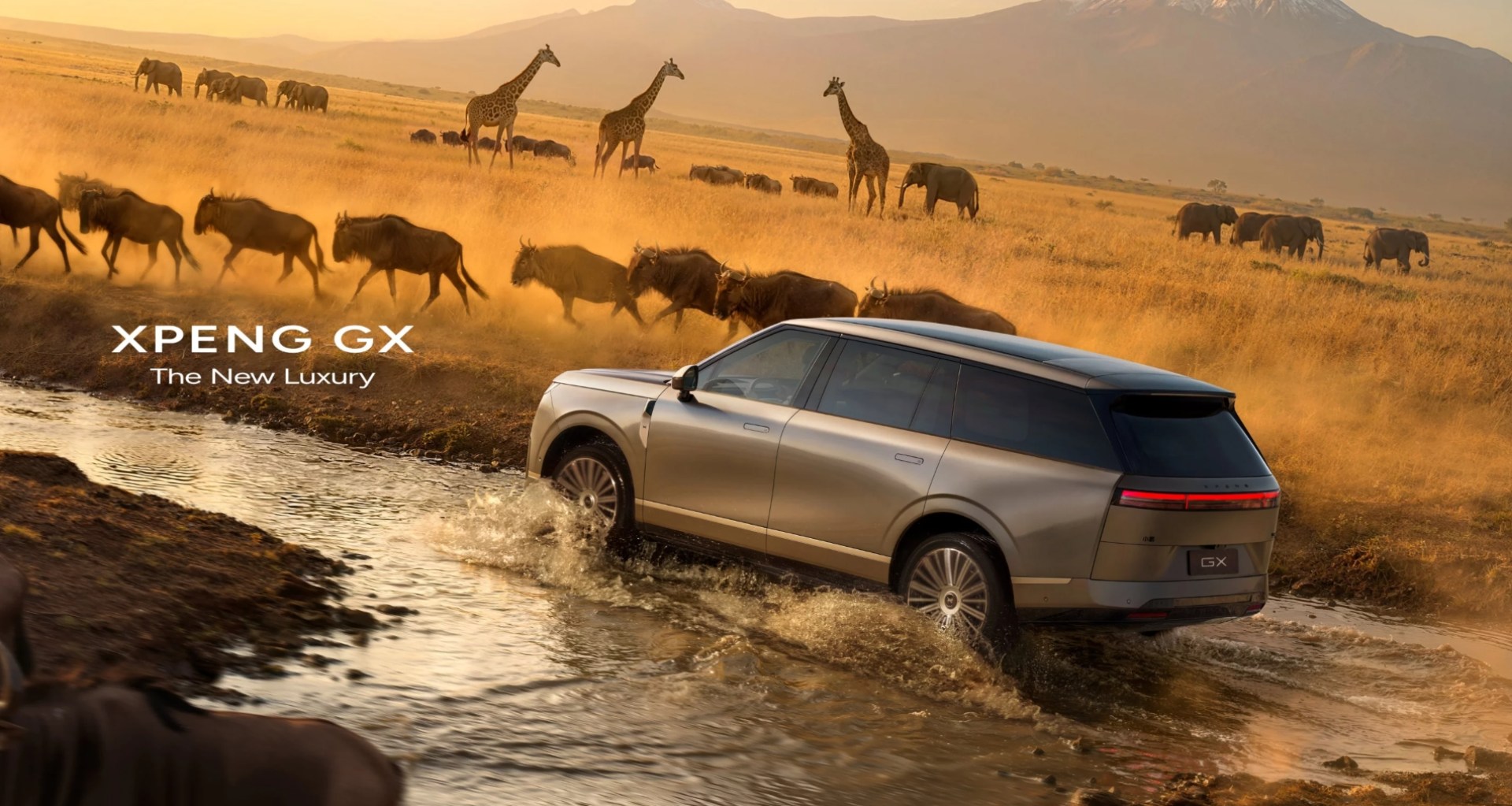 Ponad 5,2 metra długości i wersja EREV na dalekie trasy. Ten samochód ma podbić globalny rynek