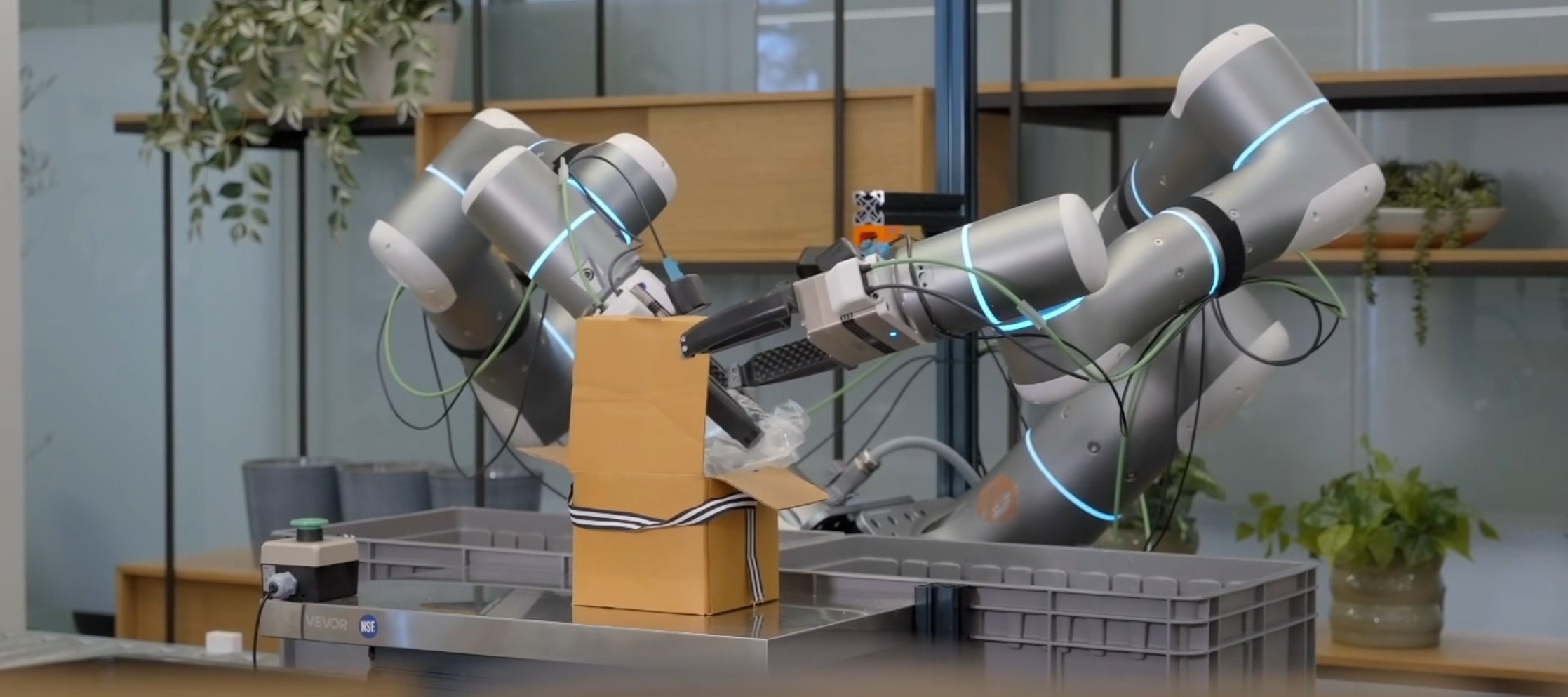 Roboty, które „widzą” przyszłość. Rhoda AI rzuca wyzwanie schematom