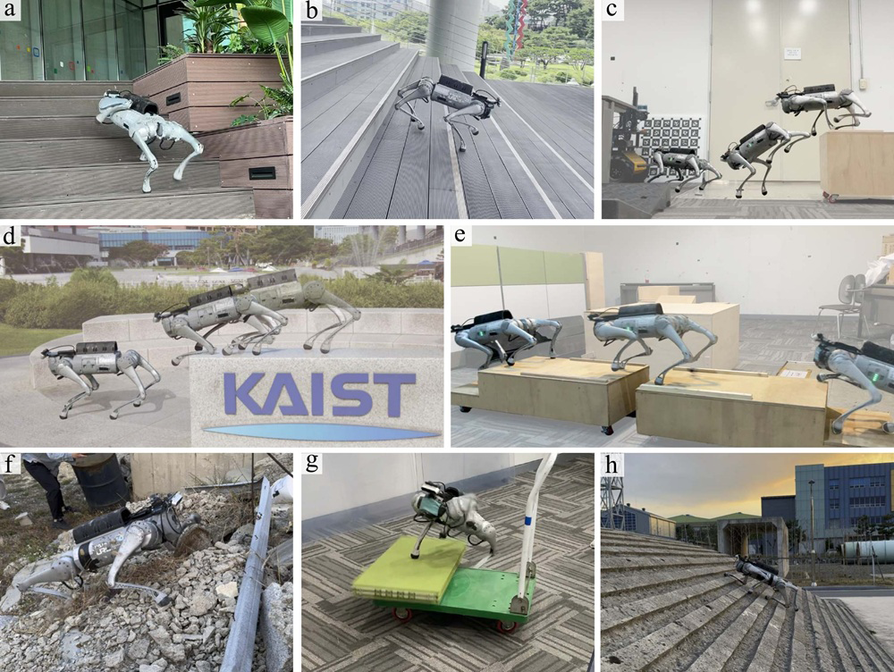 Robot o zmysłach drapieżnika. System od KAIST może mocno namieszać w robotyce