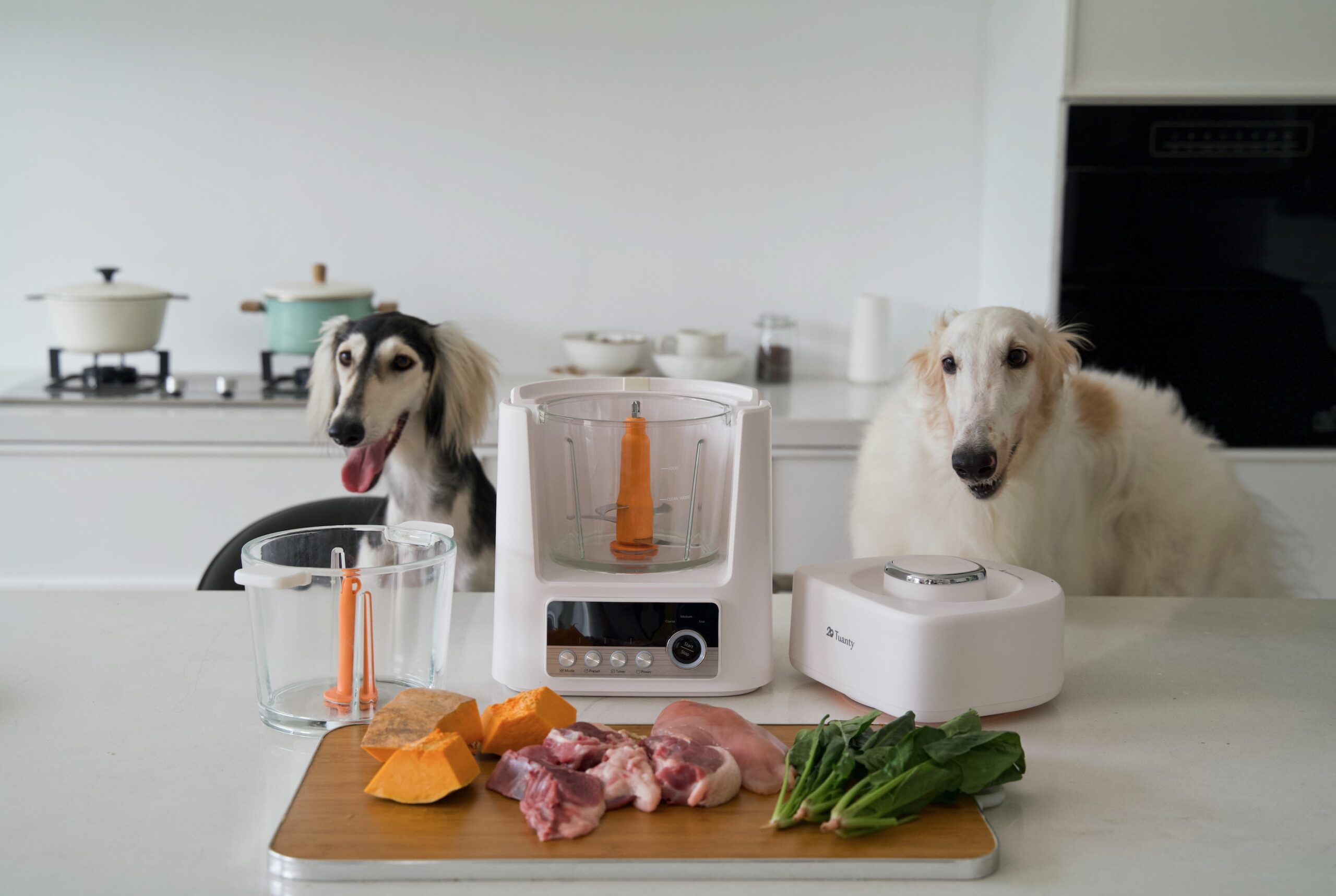 Domowe obiady dla psa bez stania przy garnkach? Do Polski trafia Tuanty Pet Food Maker, pierwszy robot gotujący dla zwierząt