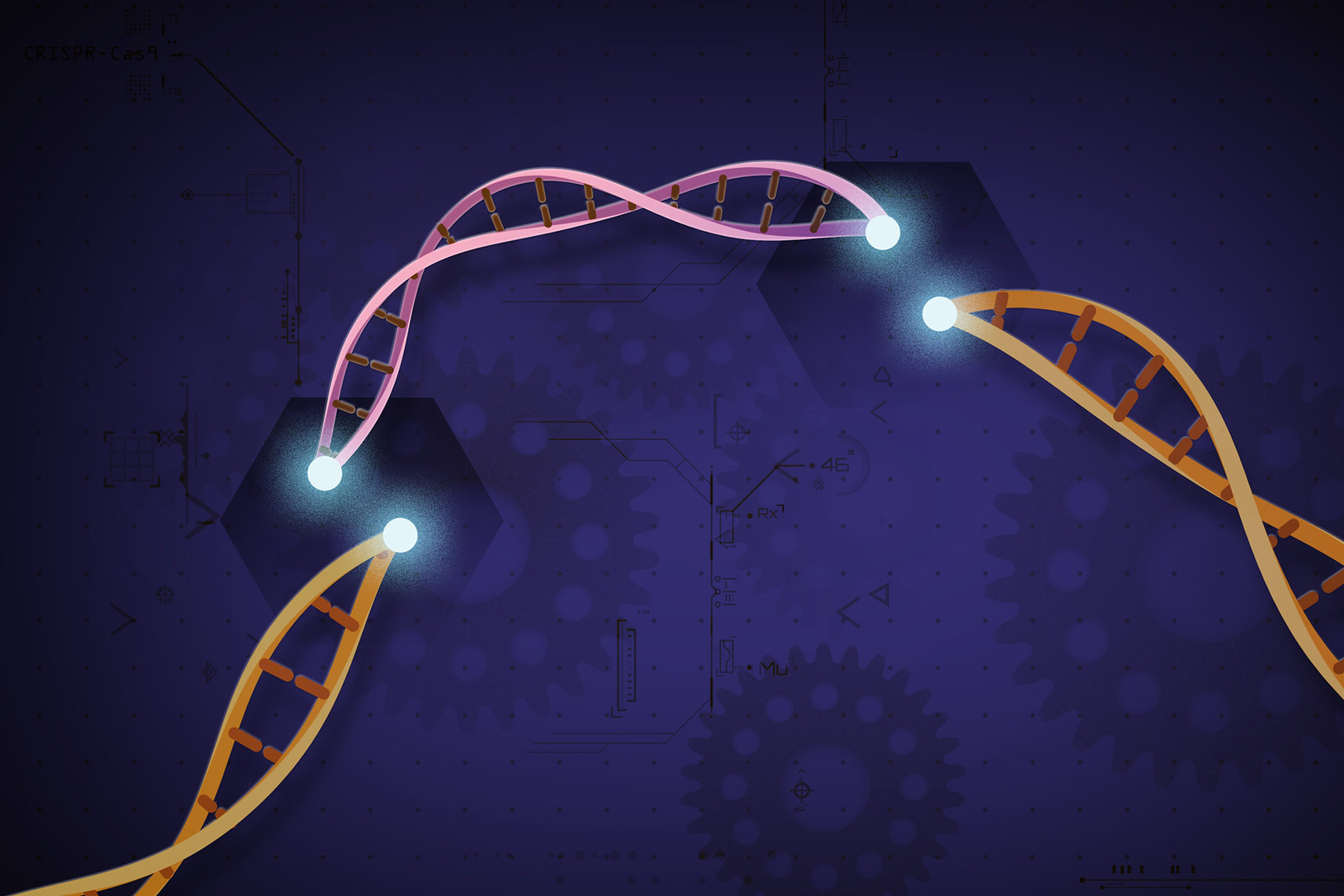 AI z laboratorium Anthropic odkryła nowy układ enzymatyczny podobny do CRISPR