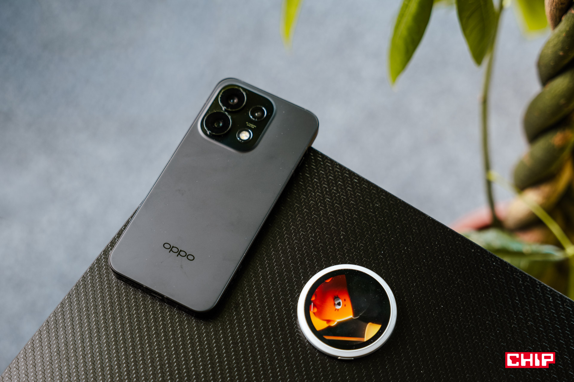 Garść nowości od Oppo na zakończenie lata. Większa ochrona, łatwiejsze zarządzanie powiadomieniami i nie tylko