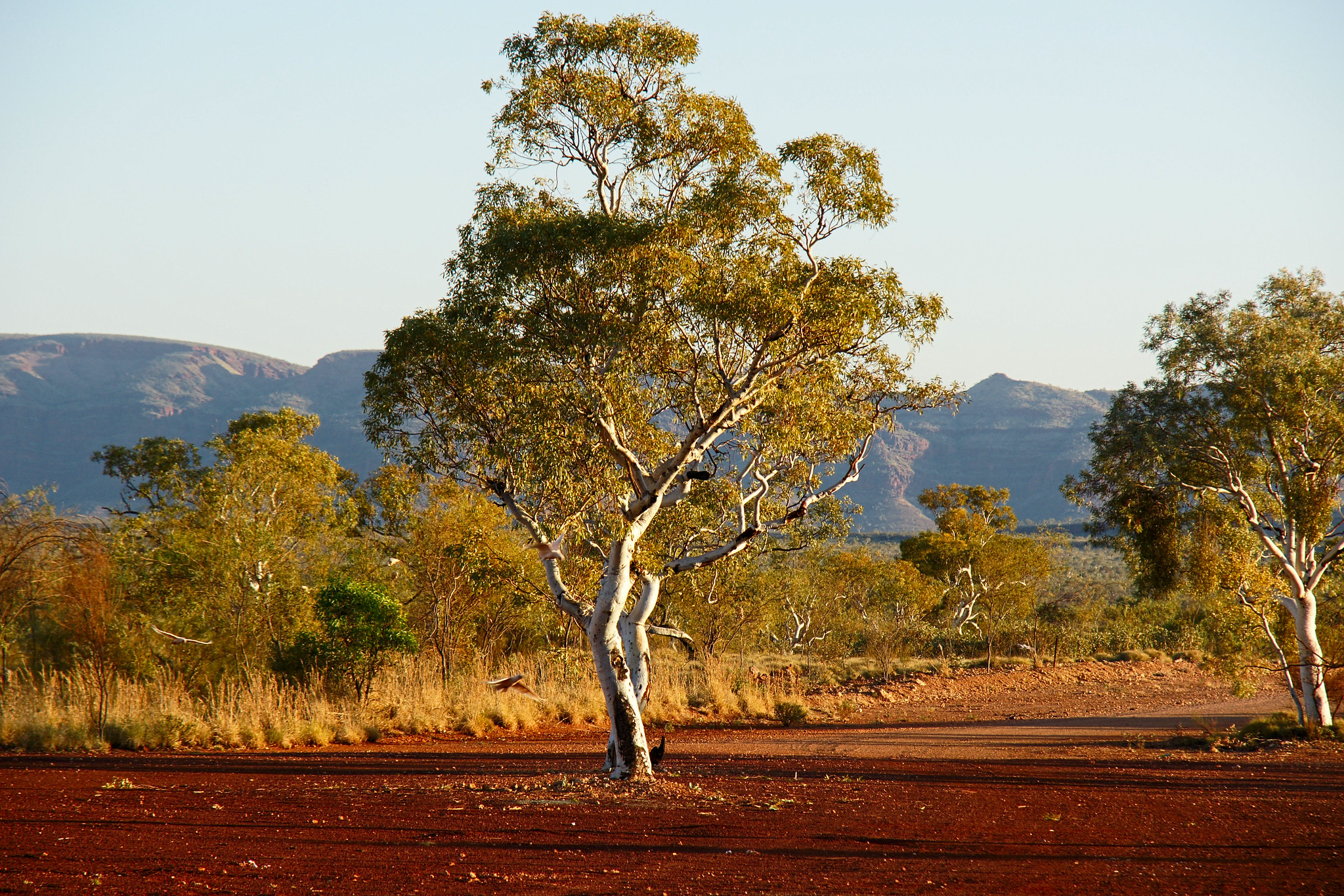 Australijczycy śpią na ogromnym źródle czystej energii. Odczyty to potwierdziły
